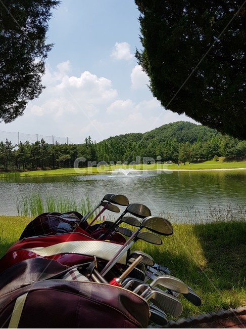골프,스포츠,골프채,자연,운동,스포츠,레저,운동,sports,leisure,exercise