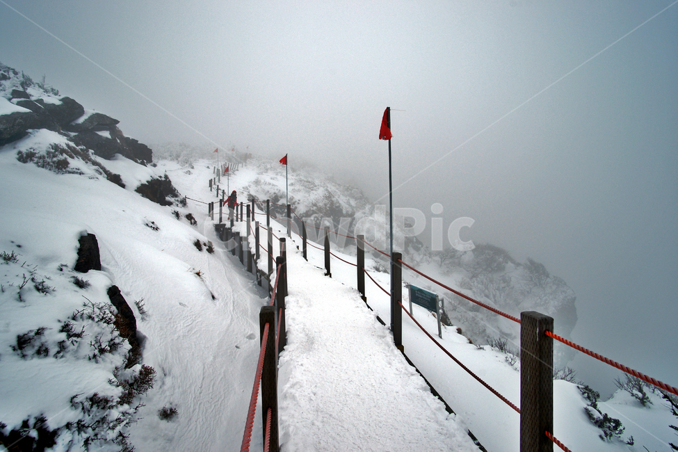 겨울산,한라산,설경,설산,한라산설경,겨울,탐방로,운무,안개,겨울,계절,winter,season