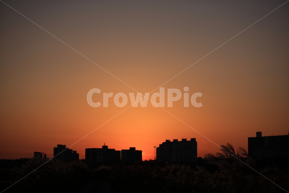 석양,일몰,풍경,하늘,skyline,sunset,sky,도시,풍경,city,landscape,한국도시풍경,한국도시경관,korea cityscape,실루엣,그림자,silhouette,shadow,nature,자연,outdoors,옥외,red sky,붉은 하늘,dawn,새벽,dusk,황혼