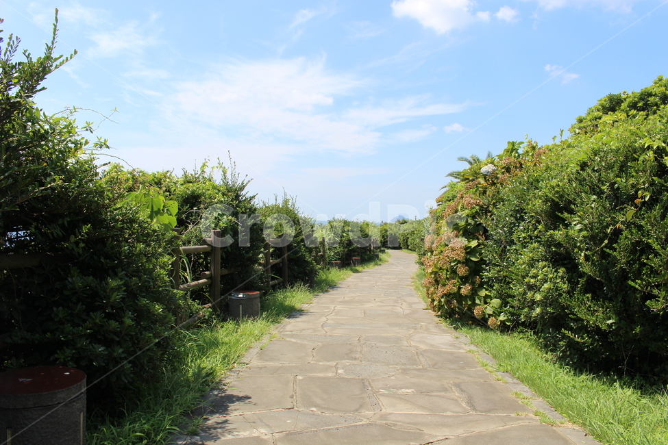 제주도,하늘,nature,자연,plants,나무,trees,jeju,jejudo,jejuisland,자연,풍경,nature,landscape,flagstone,판석,outdoors,옥외,garden,정원,arbour,정자