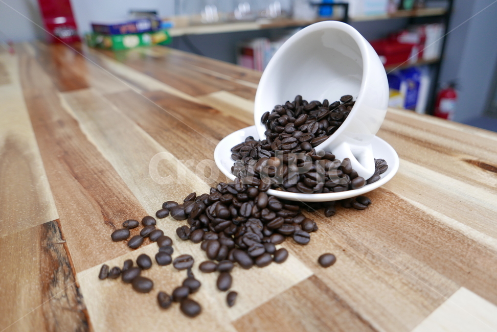 찻잔,커피,카페,커피콩,coffee,coffeecup,cup,cafe,coffeebeans
