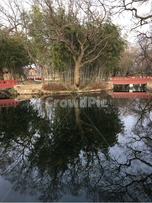 광한루,광한루원,봉래섬,연못,대칭,남원,gwanghallu,gwanghallupavilion,bongraeseom,bongraeseomislet,pond,symmetry,namwon,한국전통,한국문화,korean traditional,korean culture,랜드마크,landmark,tourist attraction,한국랜드마크,한국관광지,한국명소,korea landmark,korea tourist attraction,식물,자연,plants,nature,나무,trees,wood