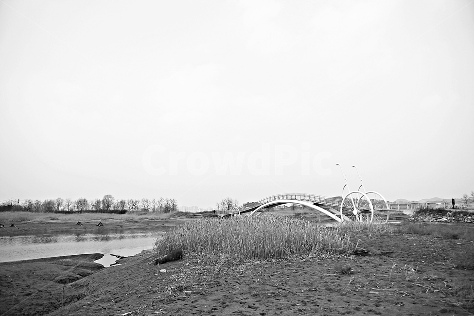미생의다리,다리,갯벌,바다,자연,베경,풍경,생태공원,자연,풍경,nature,landscape,흑백,모노톤,monochrome,black and white,ground,바닥,gravel,자갈,road,도로,dirt road,흙길