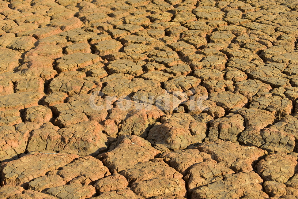 흙,땅,갈라짐,가물,가뭄,건조한땅,land,바닥,soil,ground,drought,자연,풍경,nature,landscape