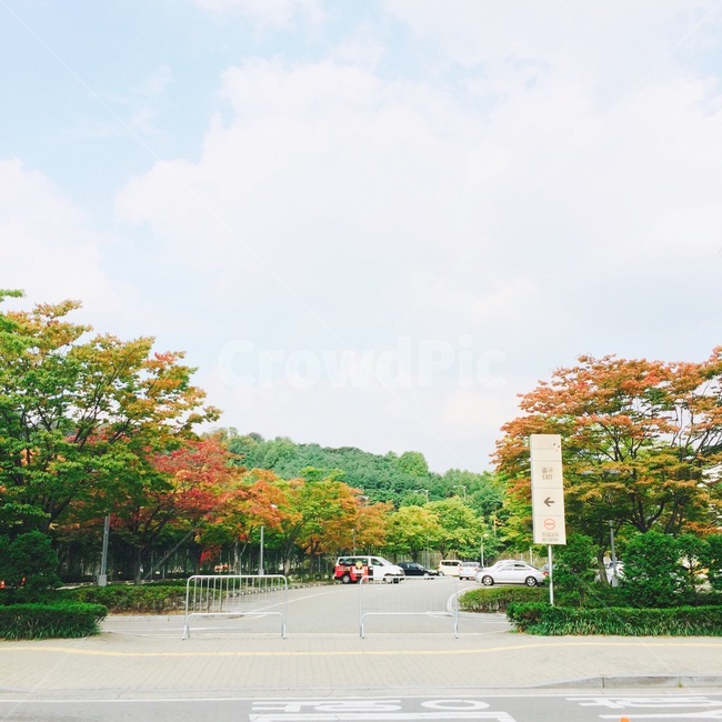 가을,공원,하늘,구름,올림픽공원,낙엽