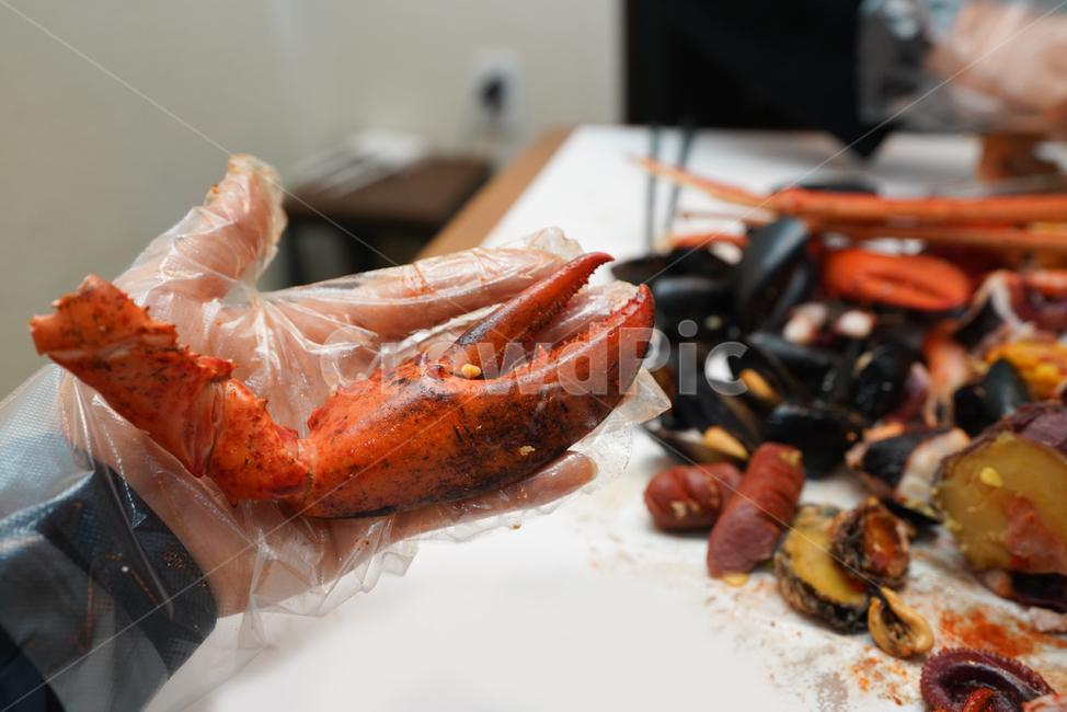 해물,해산물,seafood,먹거리,food,식사,안주,안주거리,컬러,색감,lobster,랍스터,sealife,동물,animal,음식,음식,식재료,요리,food,cook,meal,dishes,food reserves,수산물,해산물,fishery products,seafood
