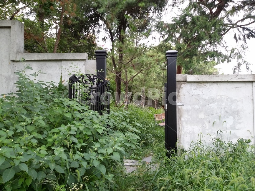 정원,전등,집,담장,식물,대문,문,outdoors,옥외