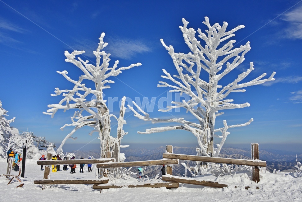 snow,눈,nature,자연,outdoors,옥외,ice,빙,mountain,산,mountainrange,산맥,무주,덕유산,덕유산설경,겨울,계절,향적봉,중봉,상고대,나무,겨울,계절,winter,season