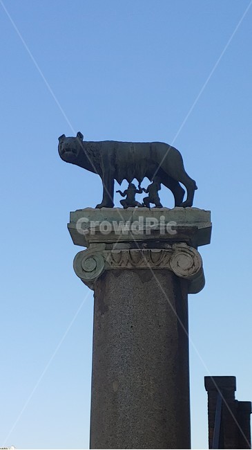 로마신화,로물루스,레무스,늑대젖,로마건국신화,신화,조각상,동상,석상,조형물,statue,bronze statue,stone statue
