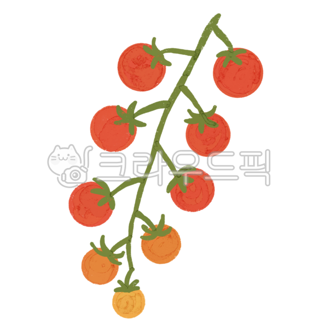 토마토,토마토그림,토마토일러스트,방울토마토,채소,채소그림,채소일러스트