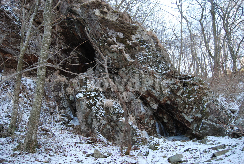 등산로,겨울,나무,자연,winter,겨울,계절,winter,season,자연,풍경,nature,landscape,plant,식물,ground,바닥
