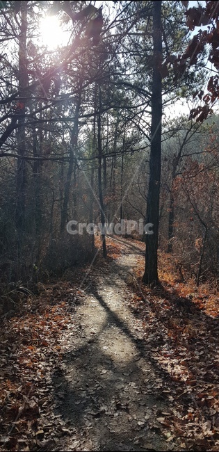 조계산,산길,산책로,등산길,산,자연,풍경,nature,landscape,ground,바닥,tree,나무,plant,식물