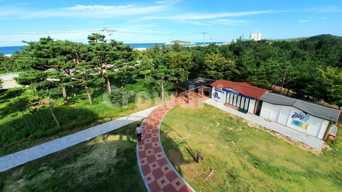 human,outdoors,옥외,인간,person,nature,자연,사람