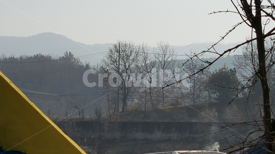 새벽,자연,경치,시골,안개,고향,자연,풍경,nature,landscape