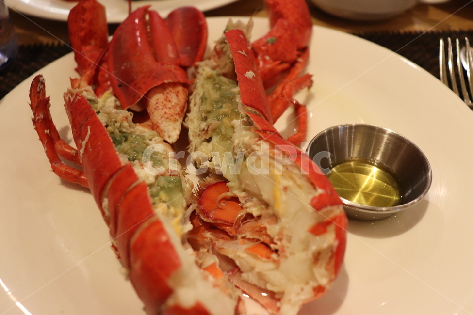 seafood,해물,lobster,랍스터,food,음식,sealife,해양생물