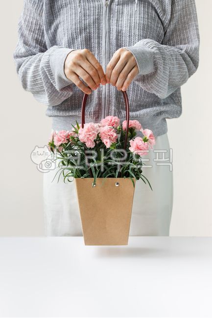 카네이션,꽃,꽃바구니,바구니,아름다움,식물,분홍,선물,사랑,다발,축하,잎,밝은빛,어버이날,스승의날,스승감사주간,포장된,카피공간,꽃다발,클로즈업,포장,손,잡기,세로