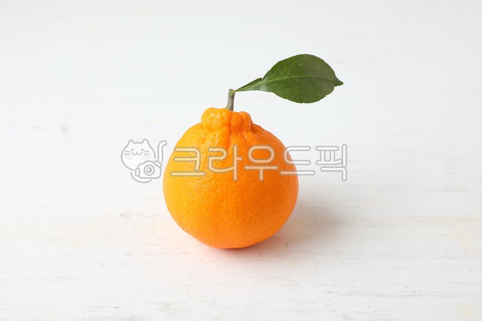 citrus fruits,fruit,Hallabong,Orange