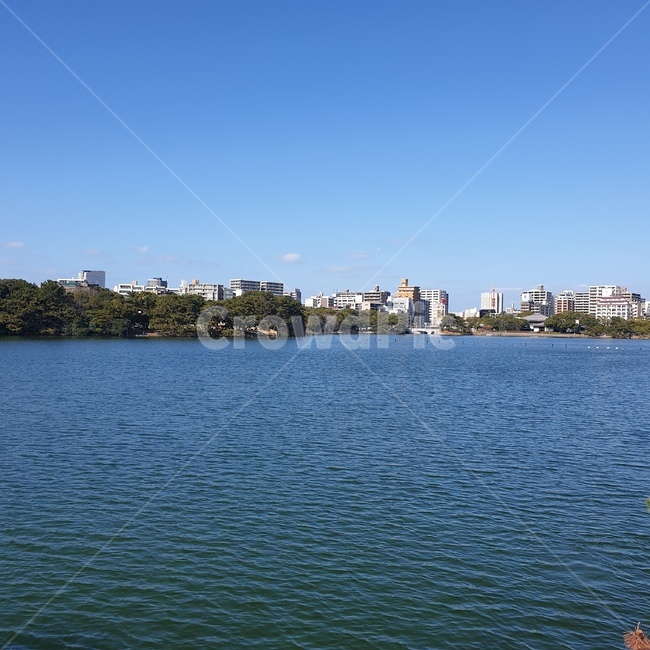 water,물,nature,자연,outdoors,옥외,후쿠오카,공원,오호리공원,호수,강,풍경,경치,산책,하능,오리배,건물,나무,소풍