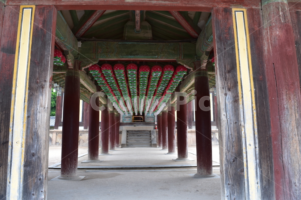 연등,불교,불국사,경치,풍경,나무,돌담길,고전,신라,절,사원,사찰,기와,종교,세계문화유산,경주,한국전통,한국문화,korean traditional,korean culture,건축물,건물외관,exterior,building,structure,architecture,construction
