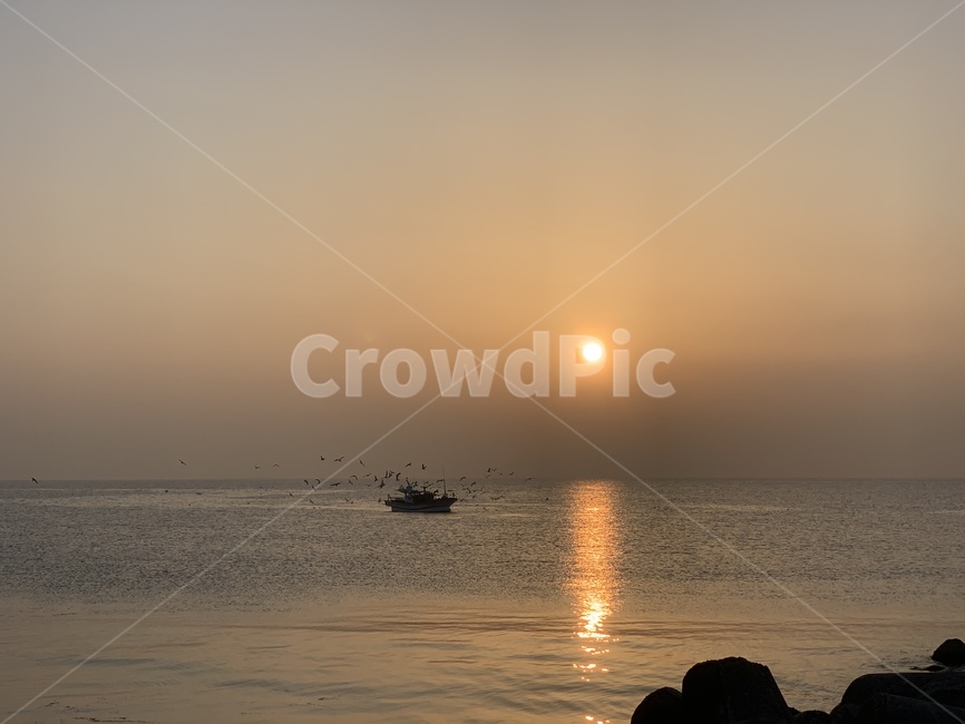일출,해돋이,sunrise,태양,sun,새벽,dawn,수평선,horizontalline,sealine,바다,잔잔한바다,바닷가,sea,하늘,sky,갈매기,seagull,mew,gull,seamew,배,고기잡이배,ship,boat,만선,고기잡이,fullsail,자연,풍경,nature,landscape,sunlight,햇빛,outdoors,옥외