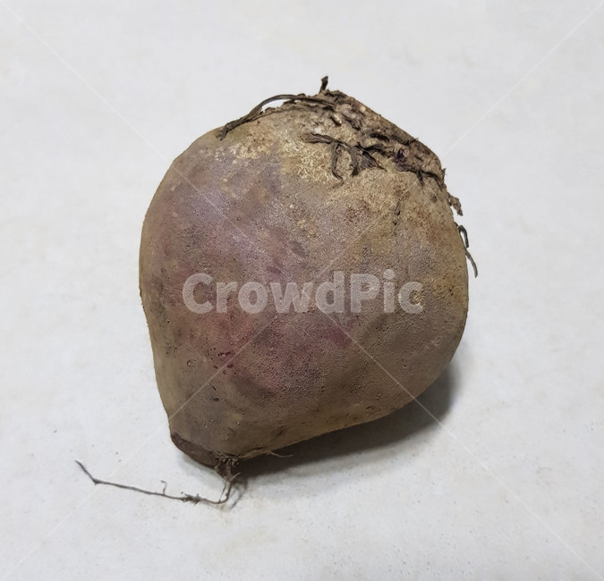 plant,식물,vegetable,야채,turnip,순무,food,음식,비트