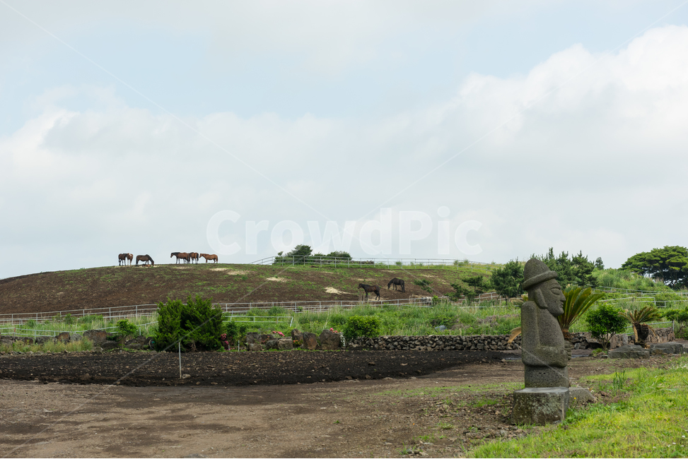 제주도,말,언덕,자연,풍경,구름,돌하루방,배경,시골,풀,나무,자연,풍경,nature,landscape,한국자연풍경,한국자연경관,korea nature landscape,제주도,jeju,jeju island,ground,바닥