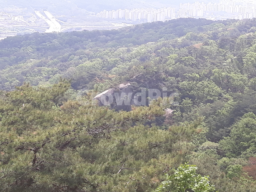 산,바위,도심,정상,미세먼지,자연,풍경,nature,landscape,slope,경사,outdoors,옥외,vegetation,초목,plant,식물,bush,부시