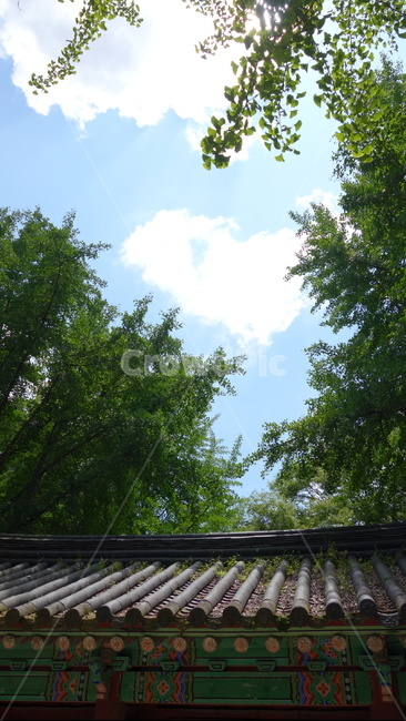기와,단청,하늘,구름,나무,sky,cloud,tree,한국전통,한국문화,korean traditional,korean culture,건축물,건물외관,exterior,building,structure,architecture,construction