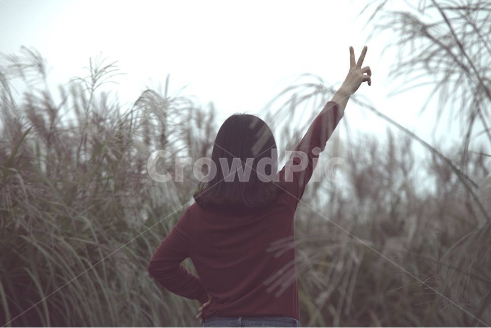 가을,외로움,쓸쓸함,찬바람,갈대,갈대밭,사람,인물,인간,human,person,여성,여자,woman,female,lady,감정표현,기분,feeling,emotion,감성,sensible