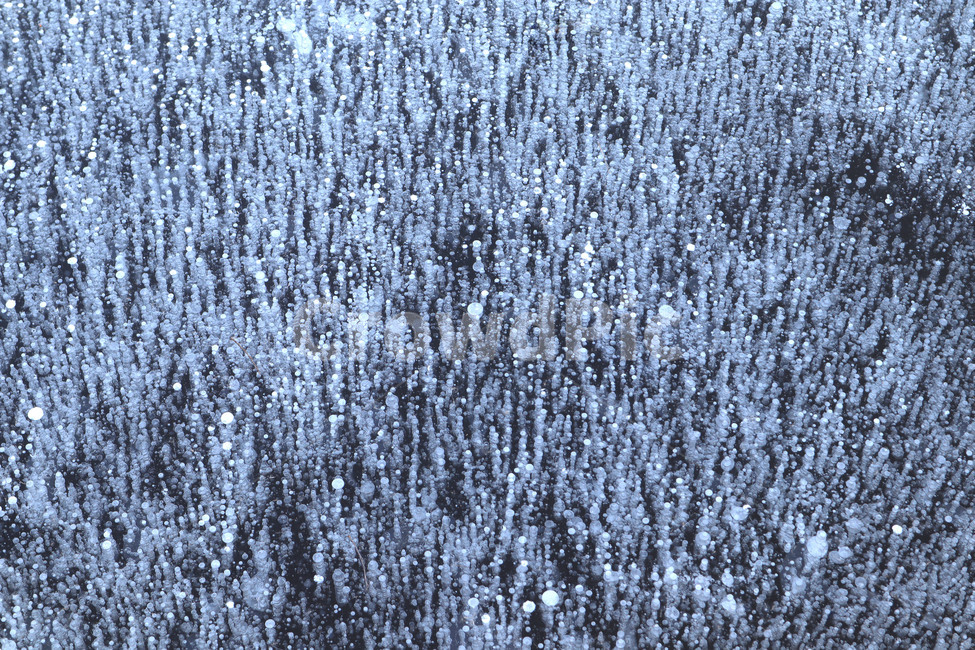 얼음,강,배경,추상적배경,추상,ice,frozen,abstract,abstractbackground,image,winter,cold,겨울,영하,강추위,날씨,하천,야외,텍스쳐,질감,패턴,빙판,꽁꽁,표면,추위,얼다,겨울,계절,winter,season