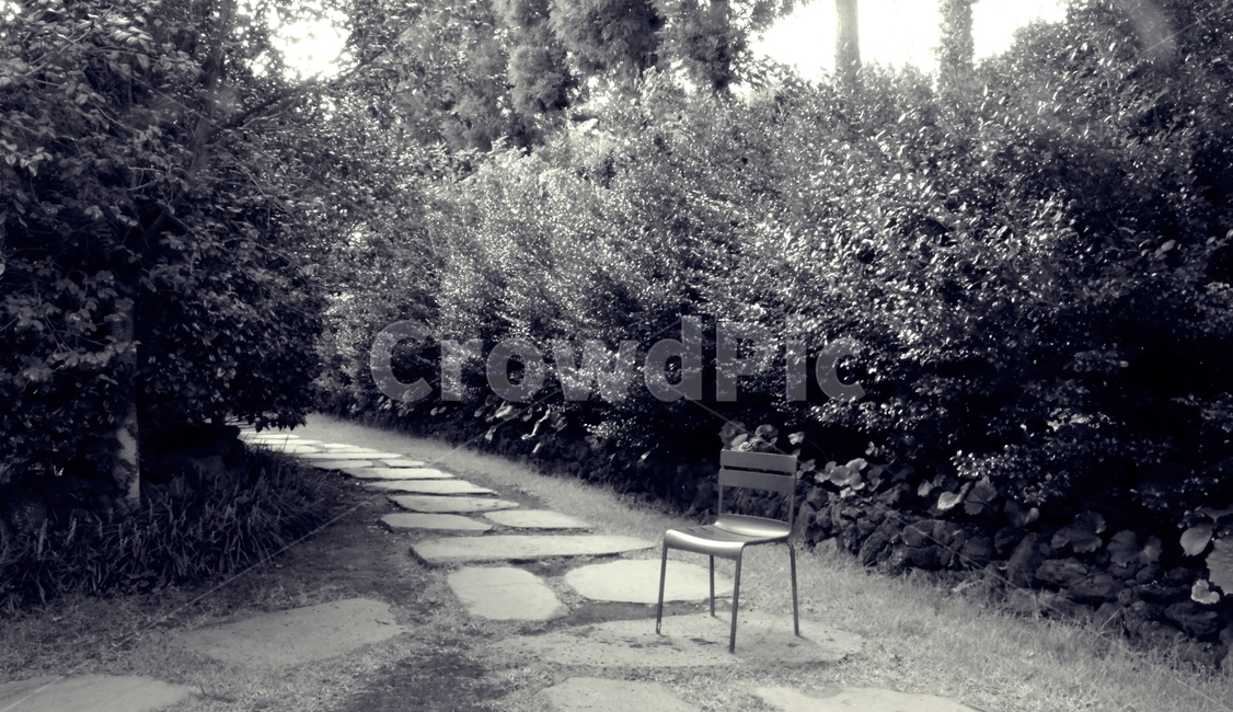 furniture,가구,의자,휴식,쉼,나무,사잇길,흑백,모노톤,monochrome,black and white