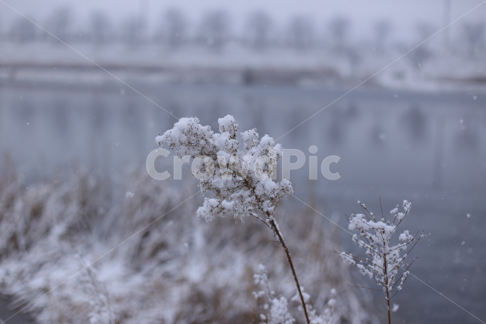 겨울,눈,눈오는날,snow,winter,풍경,감성,화이트,추위,폭설,설경,겨울,계절,winter,season
