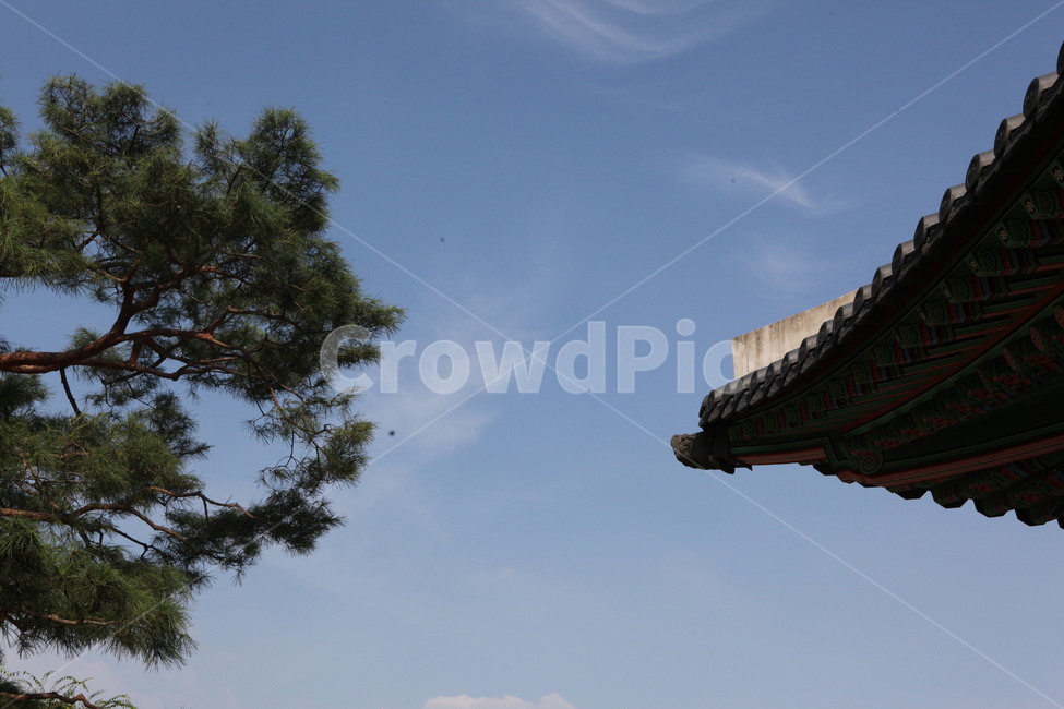 한옥,자연,인공물,나무,감성,한국전통,한국문화,korean traditional,korean culture,건축물,건물외관,exterior,building,structure,architecture,construction