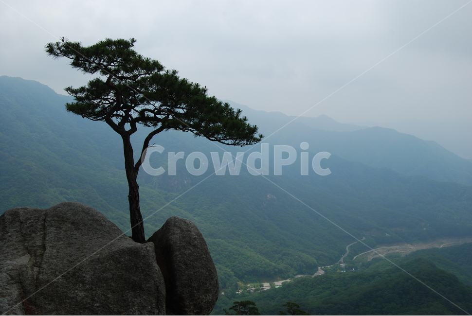 wind noise,Cheongpyeongsa hiking trail,Gongjutang,beauty,ecosystem,scenery,mountaineering,trees,Gongju folktale,healing,mountain,Korea Mountain climbing,season,land,the greatness of nature,ridge,mysterious mountain,Korea,sky,nature,famous Korean mountain,