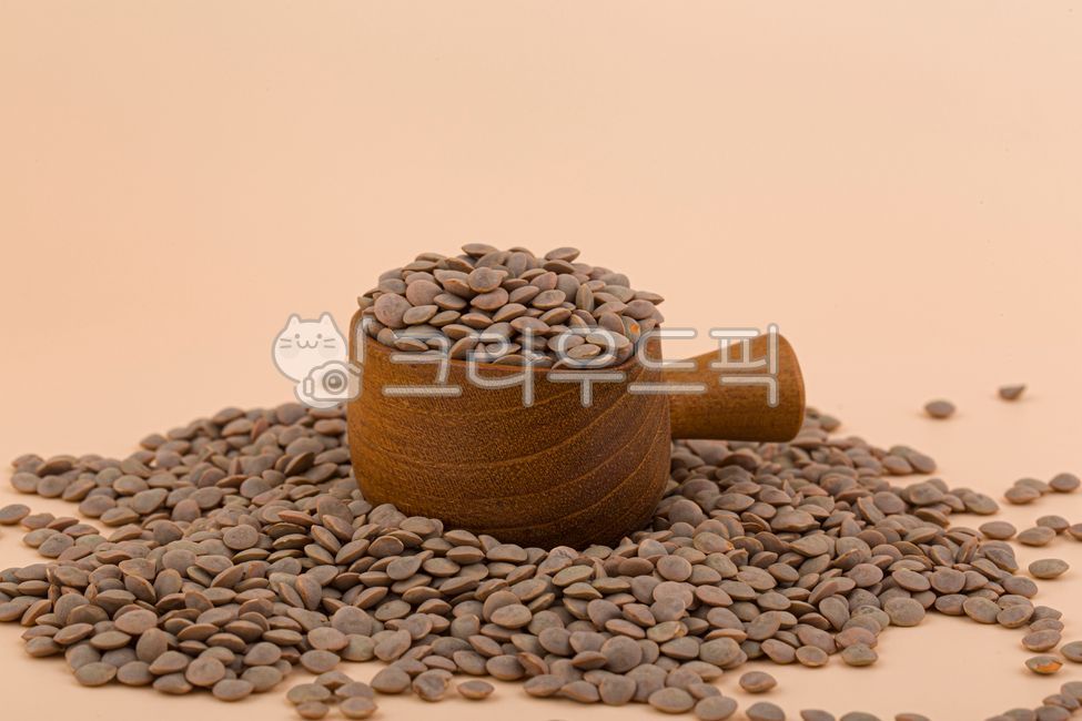 렌틸콩,콩,곡식,곡류,단백질,식이섬유,렌즈콩,슈퍼푸드,저속노화