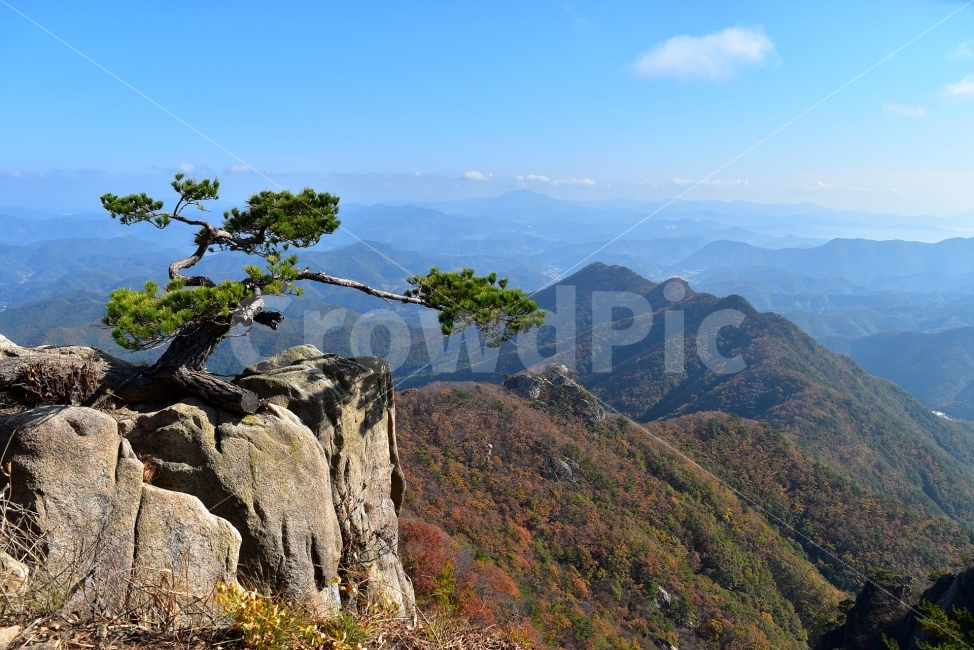 대둔산,가을,풍경,단풍,탐방,도립공원,빨간단풍,파란하늘,가을색,오색,울긋불긋,알록달록,그림같은,칼라풀,뷰티플,아름다운,힐링,감성,자연,정취,산세,명산,100대명산,nature,산,등산,트레킹,풍경사진,비경,경치,가을사진,가을색채,가을의정취,맑음,청명,가을날씨,경관,기암,암봉우리,mountain,금산,완주,논산,낙조대,낙조산장,마천대,케이블카,구름다리,삼선계단,명품송,소나무,가을,계절,fall,autumn,season,자연,풍경,nature,landscape,한국자연풍경,한국자연경관,korea nature landscape,outdoors,옥외,cliff,낭떠러지