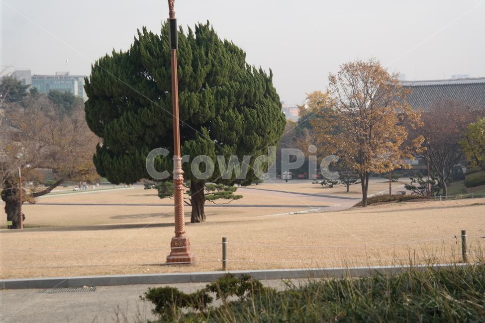 대구,달성공원,나들이,소풍,동물원,공원,휴식,자연,풍경,nature,landscape,tree,나무,plant,식물
