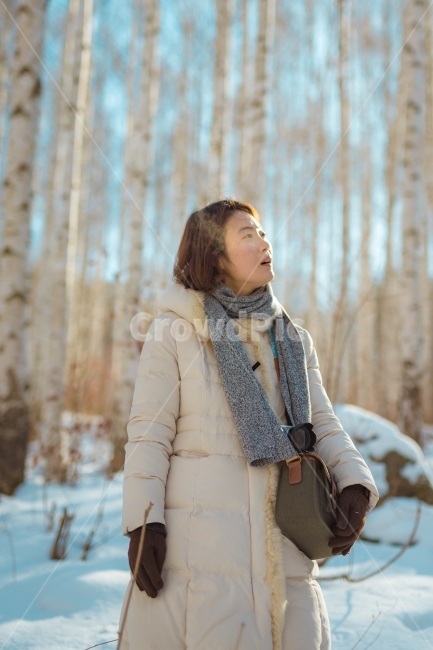 겨울,눈,강원도,자작나무숲,나무,겨울여행,모델,인물사진,겨울,계절,winter,season,사람,인물,인간,human,person,얼굴표정,facial expression,face,여성,여자,woman,female,lady,감성,sensible,feeling,휴식,힐링,rest,relaxation,healing