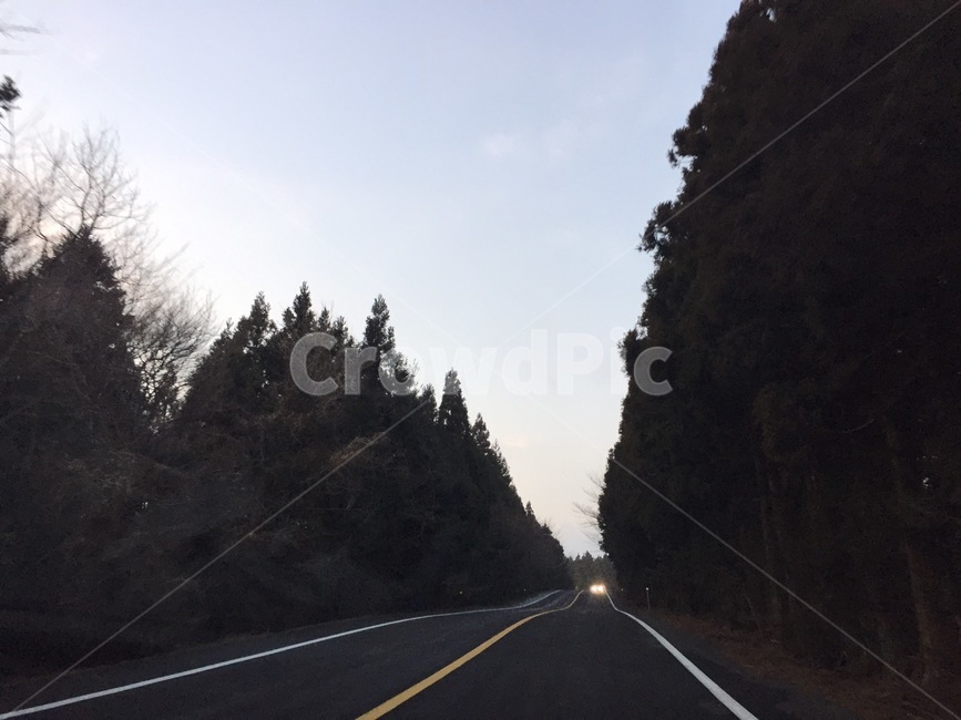 제주도,도로,제주도도로,풍경,적막한도로,분위기