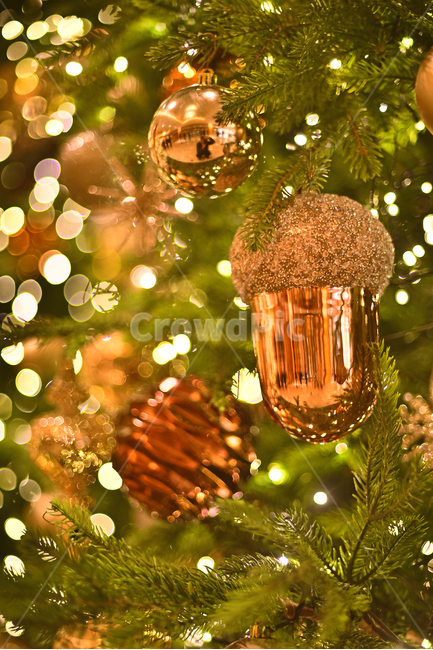 크리스마스,성탄트리,년말장식,성탄절,christmas,xmas,decoration,tree,ball,성탄볼,보케,빛망울,화려한,칼라풀,조명,불빛,라이트,색감,colorful,light,bokeh,배경,바탕,백그라운드,background,나무,장식,christmastree,크리스마스트리,plant,식물,도토리,메리크리스마스,성탄절,merry christmas
