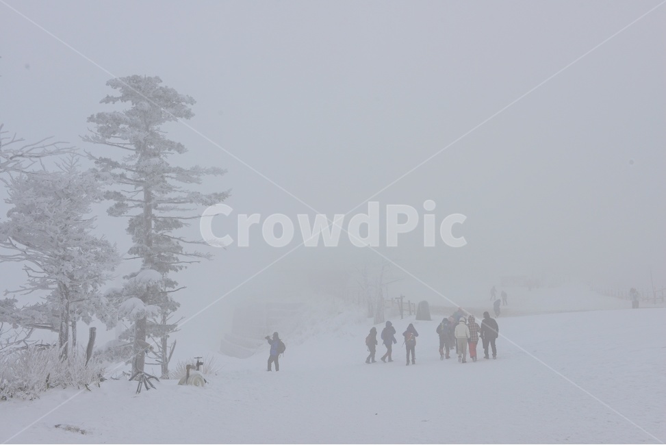 전북,무주,설천봉,상고대,상제루,mountainrange,산맥,winter,겨울,blizzard,눈보라,storm,폭풍,nature,자연,outdoors,옥외,ice,빙,snow,눈,mountain,산,겨울,계절,winter,season,자연,풍경,nature,landscape