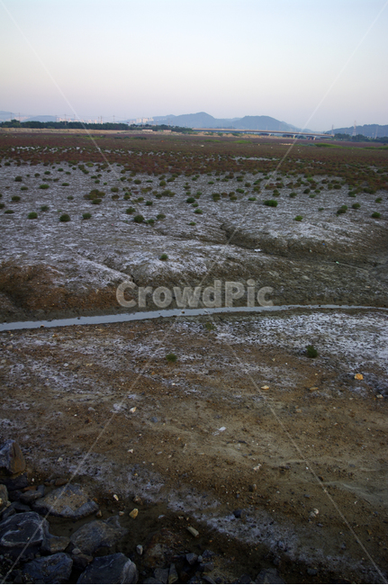 갯벌,뻘,습지,생태공원,하늘,자연,풍경,nature,landscape,gravel,자갈,road,도로,dirt road,흙길,ground,바닥