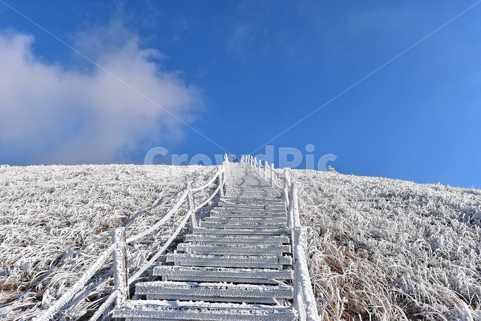 소백산,눈꽃풍경,상고대,겨울풍경,국립공원,겨울동화,힐링,감성,아름다움,뷰티풀,설국,눈풍경,파란하늘,100대명산,겨울명산,설경,서리꽃,snow,landscape,눈,화이트,자연,신비로운,경이로운,천상,비경,치유,산,명산,자연풍경,늦가을,영주,단양,풍기,희방사,삼가리,비로봉,겨울,계절,winter,season,자연,풍경,nature,landscape,한국자연풍경,한국자연경관,korea nature landscape,banister,난간,handrail