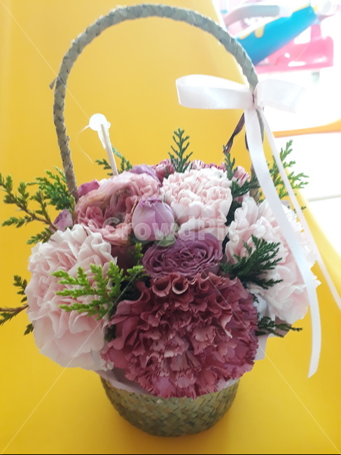 plant,식물,꽃,선물,화분