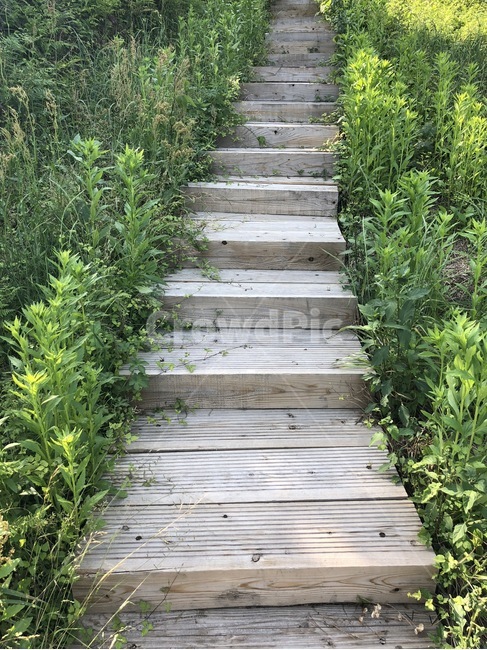 계단,초록,자연,여름,오름,감성,산책