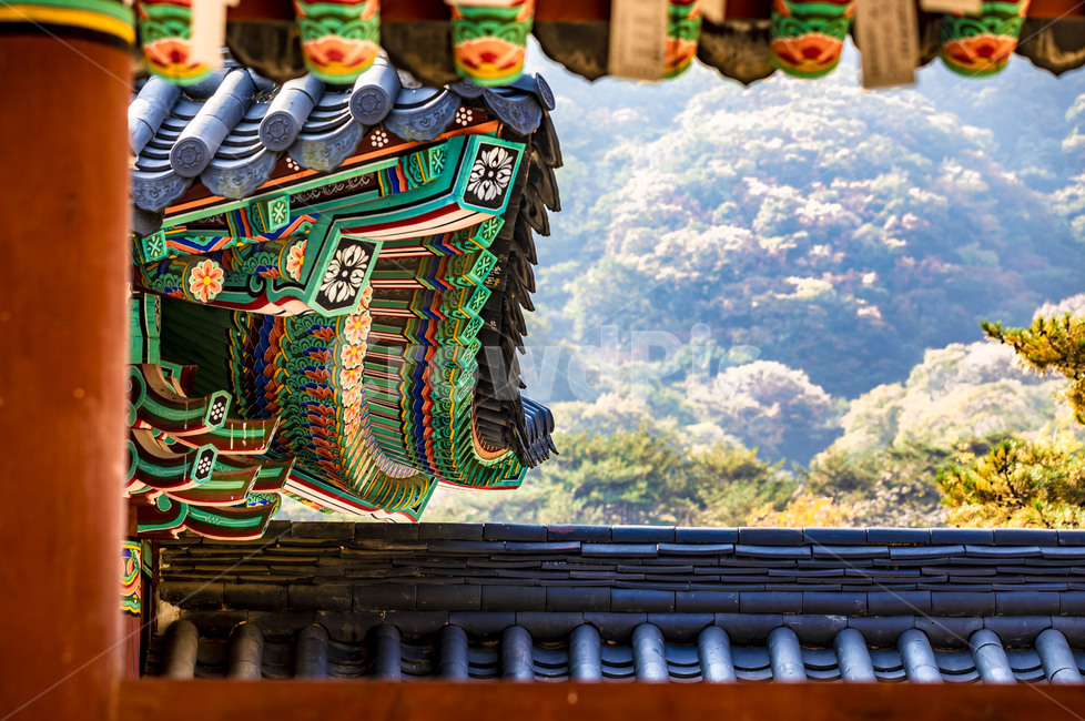 청평사,전통가옥,단청,기와지붕,처마,문화유산,지붕,roof,건축물,문양,무늬,채색,감성,한국의미,한국전통,한국문화,korean traditional,korean culture,건축물,건물외관,exterior,building,structure,architecture,construction