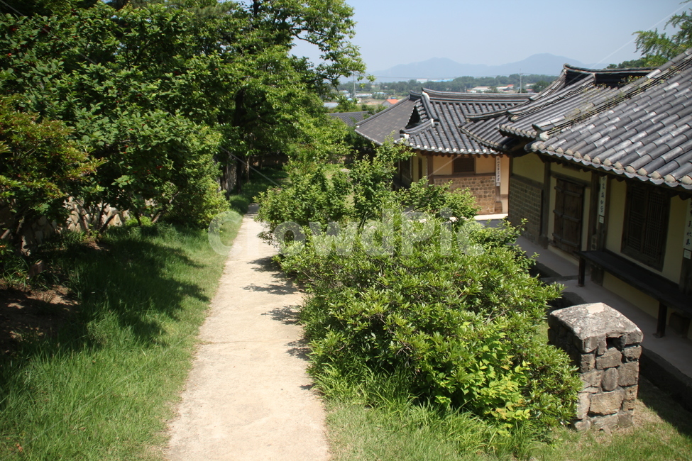추사고택,추사,고택,한국고택,한국전통가옥,한국전통건축,목조건축,건축,기와,담장,예산,한국,chusaoldhouse,chusa,oldhouse,koreanoldhouse,koreantraditionalhouse,koreantraditionalarchitecture,woodenarchitecture,architecture,rooftile,wall,yesan,korea,자연,풍경,nature,landscape,한국자연풍경,한국자연경관,korea nature landscape,한국전통,한국문화,korean traditional,korean culture,건축물,건물외관,exterior,building,structure,architecture,construction,outdoors,옥외,roof,지붕