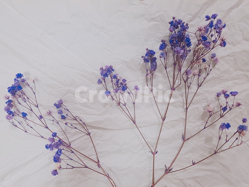 꽃,풀,조화,꽃다발,flower,bundle,꽃,flower
