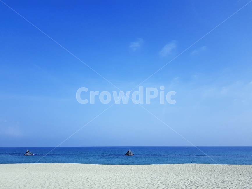 바다,갈매기,겨울바다,백사장,하늘,자연,풍경,nature,landscape,outdoors,옥외,ocean,대양,sea,water,물,shoreline,해안선
