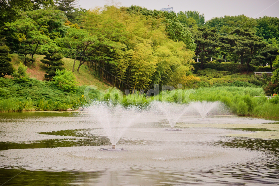 분수,풍경,올림픽공원,park,호수,Fountain,Lake,nature